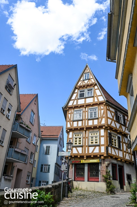 Esslingen am Neckar, Germany เที่ยวดุจฝันไปในเมืองเทพนิยายทางตอนใต้ของเยอรมนี