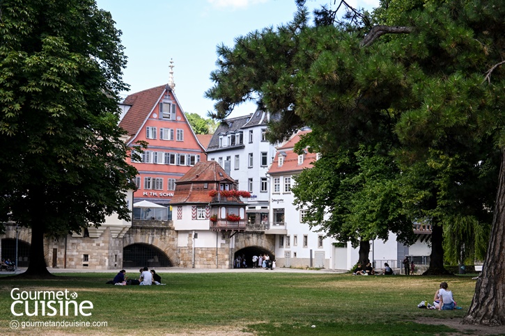 Esslingen am Neckar, Germany เที่ยวดุจฝันไปในเมืองเทพนิยายทางตอนใต้ของเยอรมนี