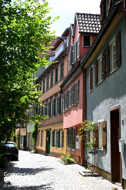 Esslingen am Neckar, Germany เที่ยวดุจฝันไปในเมืองเทพนิยายทางตอนใต้ของเยอรมนี