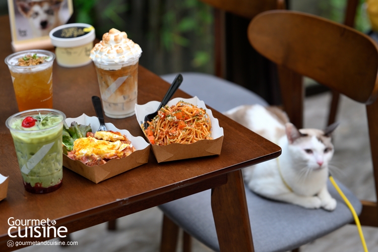 รวม 15 ร้าน Pet-Friendly ที่เราพาน้องหมาน้องแมวเข้าได้