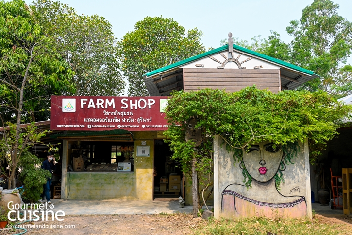 ‘Satom Organic Farm : Surin’ ฟาร์มปลูกข้าวอินทรีย์และผลิตสาโทพื้นบ้าน จ.สุรินทร์