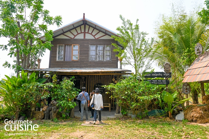 ‘Satom Organic Farm : Surin’ ฟาร์มปลูกข้าวอินทรีย์และผลิตสาโทพื้นบ้าน จ.สุรินทร์