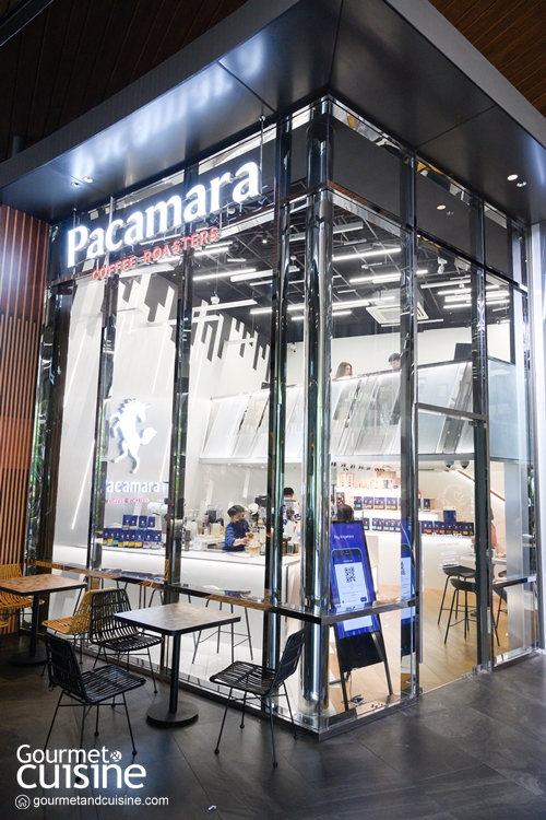 Pacamara Coffee Roasters บุกโลเคชั่นใหม่ที่ โครงการ Velaa Sindhorn Village