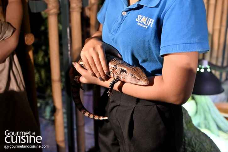 ชม 9 สัตว์แปลก! แห่งป่าดิบชื้น Rainforest ที่ SEA LIFE Bangkok Ocean World สยามพารากอน