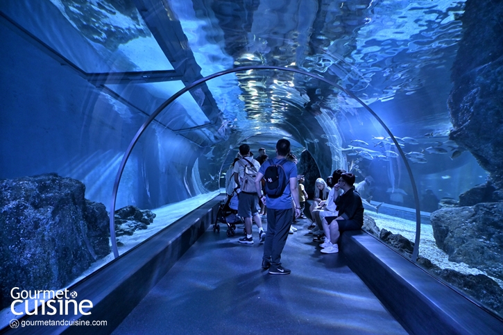 ชม 9 สัตว์แปลก! แห่งป่าดิบชื้น Rainforest ที่ SEA LIFE Bangkok Ocean World สยามพารากอน