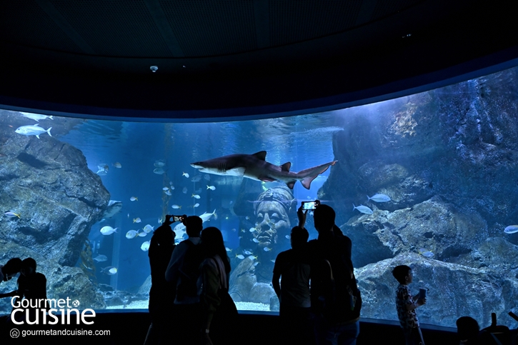 ชม 9 สัตว์แปลก! แห่งป่าดิบชื้น Rainforest ที่ SEA LIFE Bangkok Ocean World สยามพารากอน