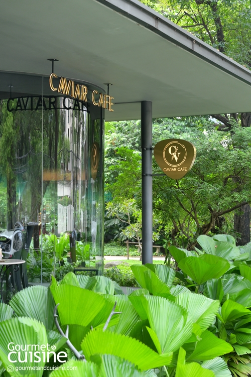 Caviar Cafe by Nai Lert คาเฟ่คาเวียร์แห่งแรกในเมืองไทย