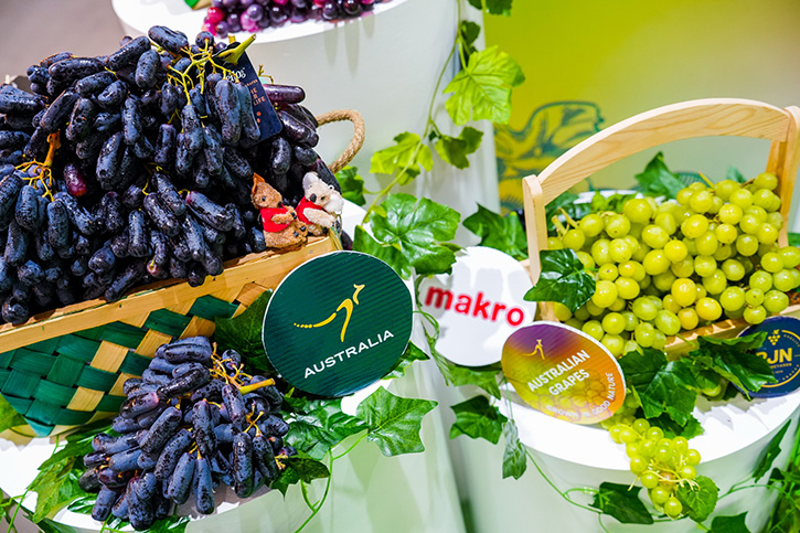 แม็คโคร เปิดฤดูกาลองุ่นออสเตรเลีย The Launch of Australian Table Grape Season นำผลผลิตคุณภาพดี ส่งตรงถึงไทย