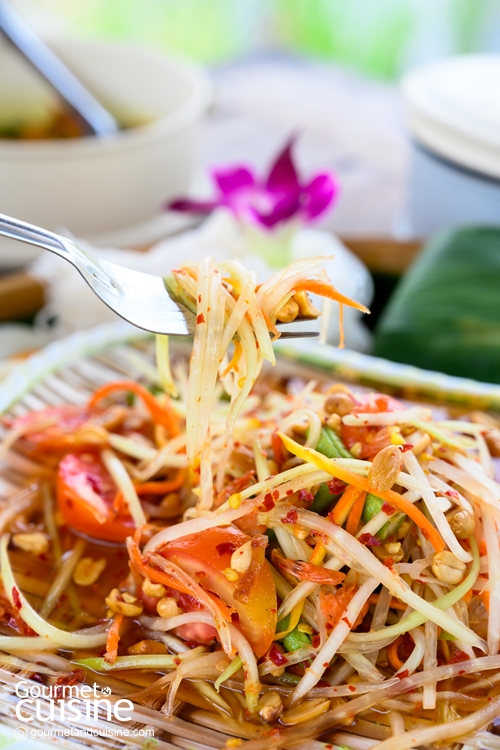 นั่งรับลมกินแกงใต้ ริมคันนาและดงตาลที่ “ปิ่นโตนามีตาล” ร้านอาหารใต้เมืองปทุมฯ