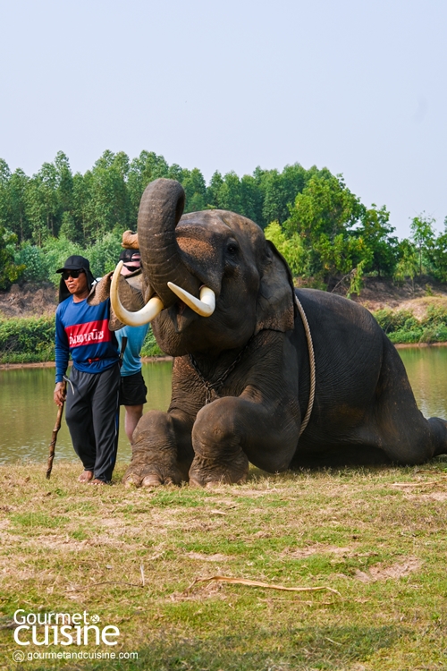 Classic Surin เที่ยวสุรินทร์แบบคลาสสิก