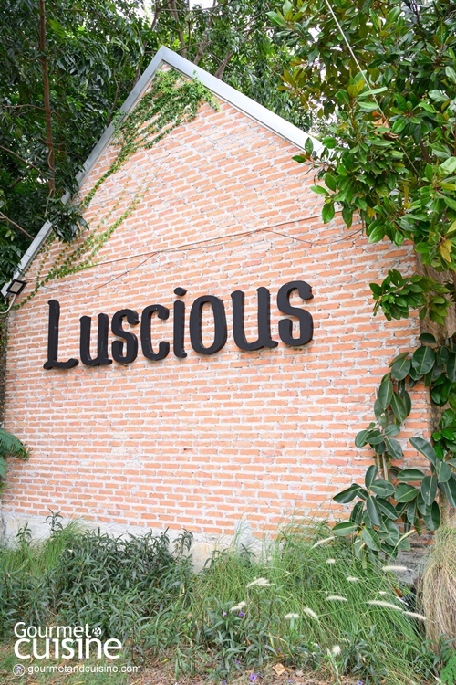 Luscious Garden Café คาเฟ่สไตล์อังกฤษ (Pet Friendly) แห่งเมืองระยอง 