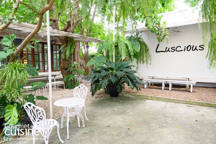 Luscious Garden Café คาเฟ่สไตล์อังกฤษ (Pet Friendly) แห่งเมืองระยอง 