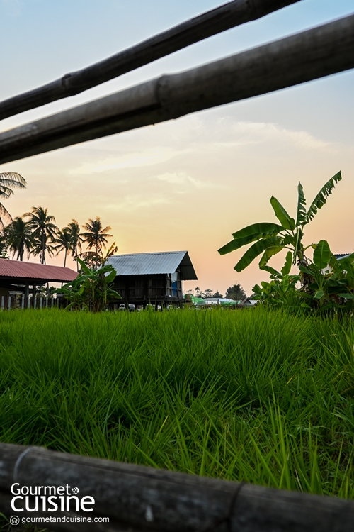 Unseen Si Sa Ket “ศรีสะเกษ” ม่วนซื่นถิ่นอีสานใต้