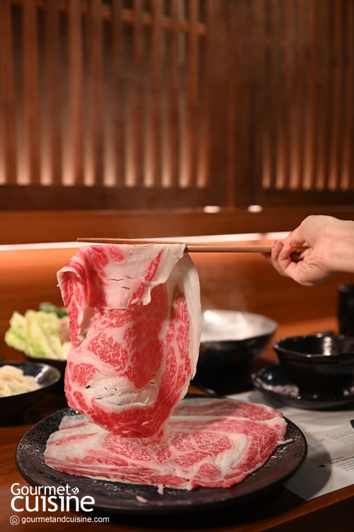 Shabu Nashi ชาบูพรีเมียมสไตล์ญี่ปุ่น มาพร้อมเนื้อริบอายคุณภาพ @Erawan Bangkok