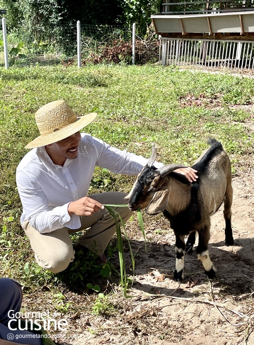 ท่องเที่ยวพักผ่อนแบบ Eco-Conscious ที่ SALA Phuket พร้อมสัมผัส SALA FARMLIFE เพื่อการท่องเที่ยวอย่างห่วงใยสิ่งแวดล้อม