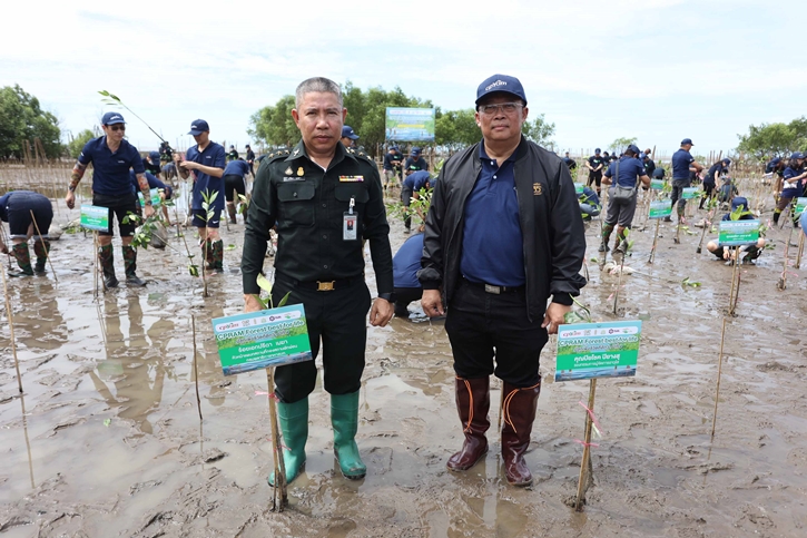 ซีพีแรม (ลาดกระบัง) ลุยปลูกป่าตามแนวชายฝั่งกว่า 20,000 ต้น หวังเพิ่มพื้นที่ป่าชายเลน และลดโลกร้อนอย่างต่อเนื่อง