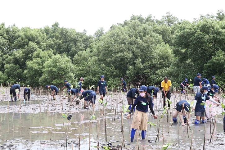 ซีพีแรม (ลาดกระบัง) ลุยปลูกป่าตามแนวชายฝั่งกว่า 20,000 ต้น หวังเพิ่มพื้นที่ป่าชายเลน และลดโลกร้อนอย่างต่อเนื่อง