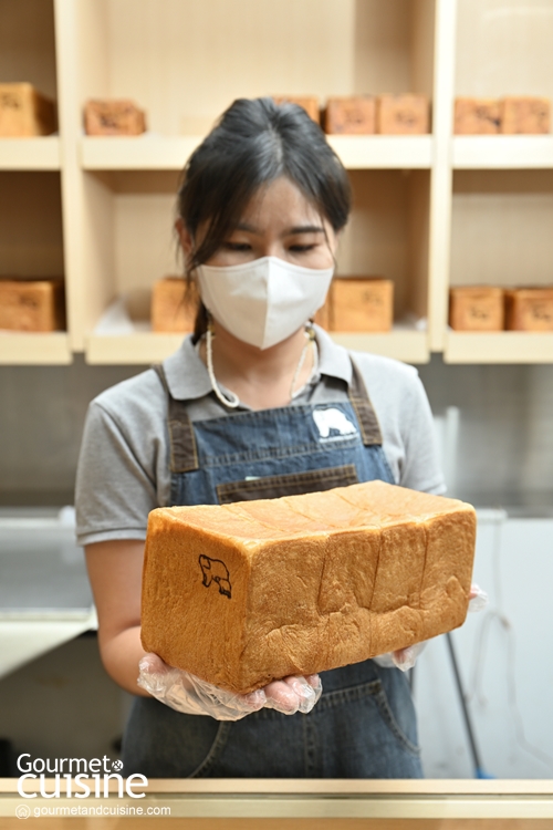 Shirokumaya Bakery (สุขุมวิท 53) ร้านขนมปังสไตล์ญี่ปุ่นที่คนรักโชกุปังต้องลอง