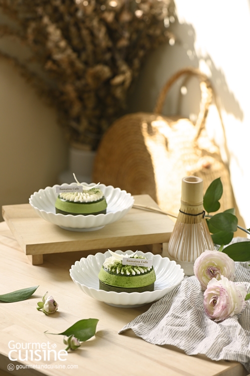 Midori Tartlet ทาร์ตมิโดริ (ทาร์ตเค้กมูสมัตฉะ ทอปด้วยเจลลีมัตฉะและครีมชองทิลลี) จากเชฟเจน เจนจิรา