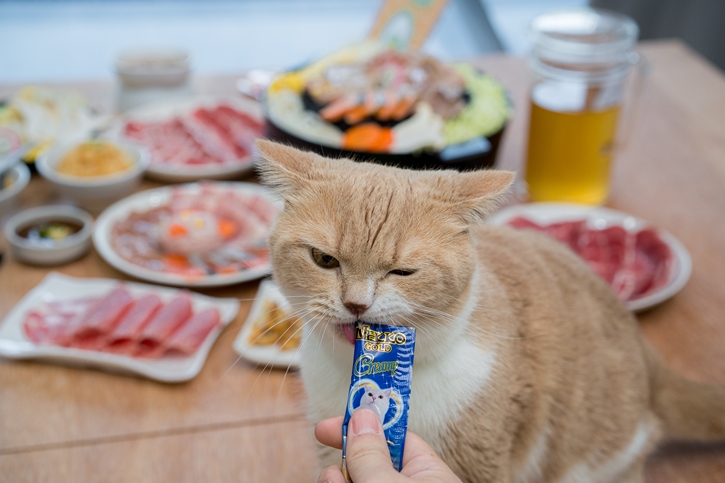 บาร์บีคิวพลาซ่า ตอบรับเทรนด์ Pet Parent  ชวน Nekko และ Munins สร้างประสบการณ์ Happiness at Home  ในคอนเซ็ปต์ บ้านสุขล้นคนกับเหมียว