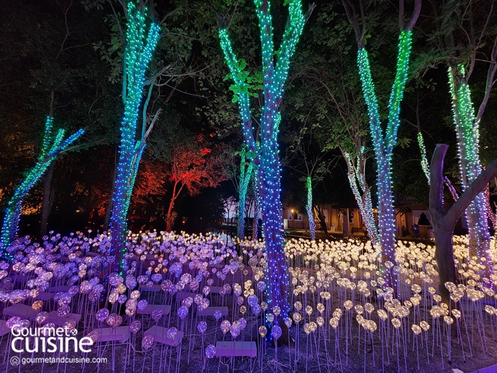 “Nasatta Light Festival Winter Illumination 2024” ชมงานไฟอลังการที่ ณ สัทธา อุทยานการเรียนรู้และอนุรักษ์วัฒนธรรมไทย จังหวัดราชบุรี 