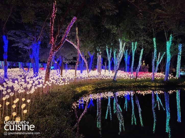 “Nasatta Light Festival Winter Illumination 2024” ชมงานไฟอลังการที่ ณ สัทธา อุทยานการเรียนรู้และอนุรักษ์วัฒนธรรมไทย จังหวัดราชบุรี 