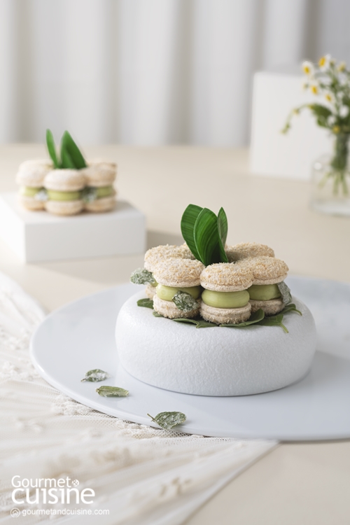 สูตรลับตำรับ Lenôtre #10 Full Moon Macaron มาการองพอนเดอริงมะพร้าวสอดไส้กานาชเปปเปอร์มินต์ โดยเชฟ Julien Bispo แห่งเลอโนท ประเทศไทย