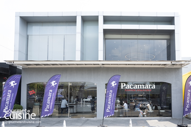 Pacamara ร้านกาแฟสเปเชียลตี้มาเยือนฝั่งธนฯ แล้วที่ The Circle Ratchapruk