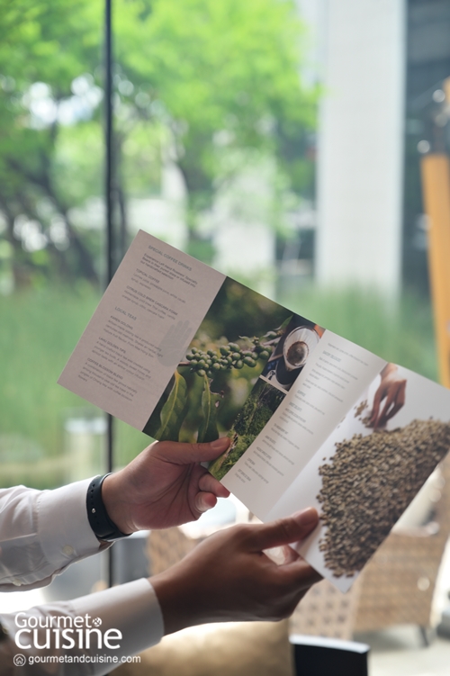 Forest-to-Table Afternoon Tea จิบน้ำชา (พ่วงกาแฟ) ยามบ่ายแบบรักษ์โลก โรงแรมโฟร์ซีซั่นส์ กรุงเทพฯ ริมแม่น้ำเจ้าพระยา