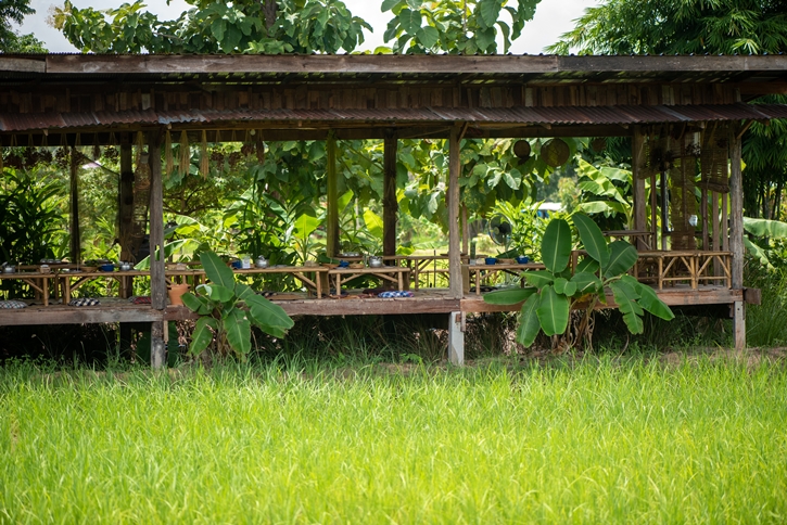 Wellness on a Plate ลิ้มรสสุขภาพ สัมผัสวิถีไทย : การเดินทางครั้งใหม่เพื่อคนรักอาหารและสุขภาพ