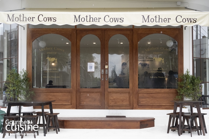 Mother Cows ร้านนมตุ๋นสุดปังแห่งหาดใหญ่ กับสาขาเปิดใหม่ย่านศาลายา