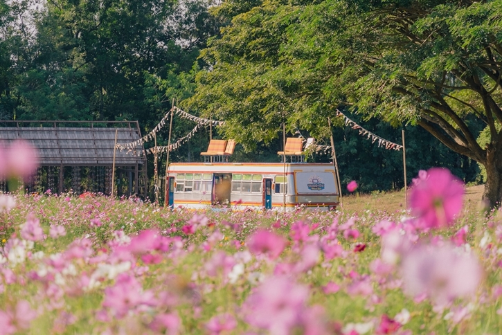 อีสานเอิ้นมา เฮาต้องไป “จิม ทอมป์สัน ฟาร์ม 2567” พร้อมเปิดบ้านต้อนรับทุกคนอีกครั้ง ชวนมาม่วนซื่นกันให้หายคิดฮอด