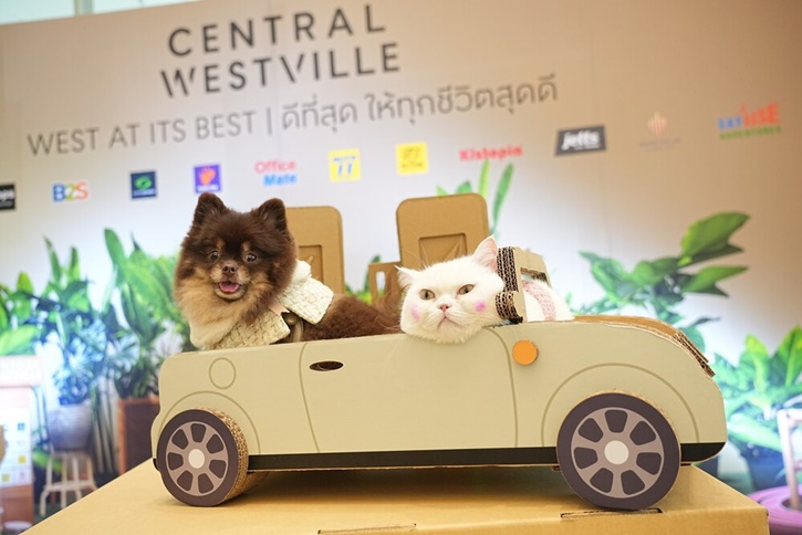 โฮ่งเหมียวโดนใจทาส…‘Central Westville’ ต้นแบบ Eco & Pet-Friendly Mall คว้ารางวัลครีเอทีฟส่งท้ายปี ในงาน AdPeople Awards and Symposium 2024 ด้วยผลงาน Repurpose ‘Waste’ into Westville  