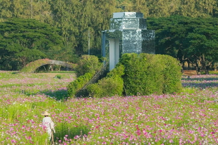 เยือนถิ่นอีสาน สัมผัสงานศิลป์สุดอลังการกลางทุ่งดอกไม้ ที่ จิม ทอมป์สัน ฟาร์ม