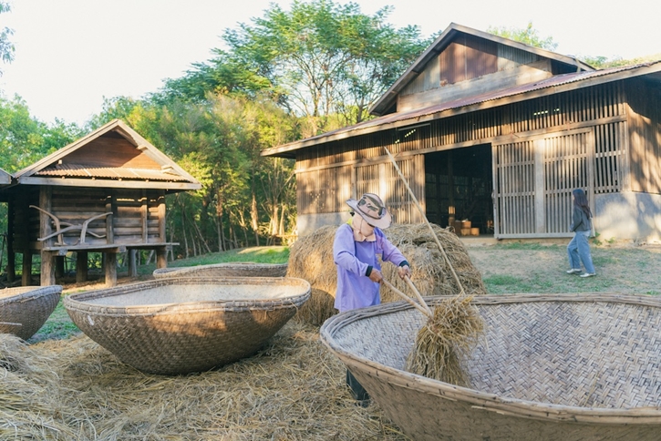 เยือนถิ่นอีสาน สัมผัสงานศิลป์สุดอลังการกลางทุ่งดอกไม้ ที่ จิม ทอมป์สัน ฟาร์ม